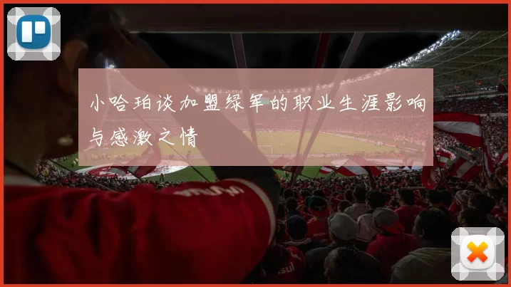 小哈珀谈加盟绿军的职业生涯影响与感激之情