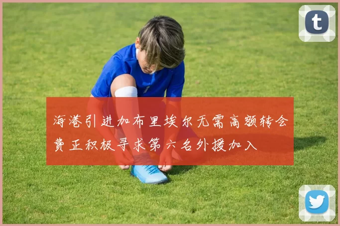 海港引进加布里埃尔无需高额转会费正积极寻求第六名外援加入